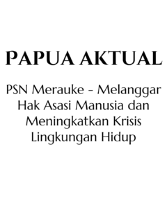 PSN Merauke – Melanggar Hak Asasi Manusia dan Meningkatkan Krisis Lingkungan Hidup, Update, Sept 2024